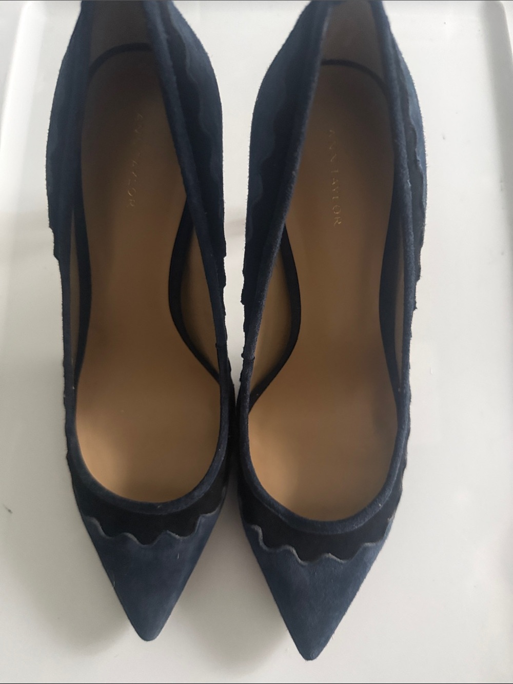 Ann Taylor Navy Scalloped Pointed Suede Pumps
